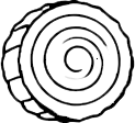 סוג עץ