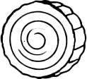 סוג עץ