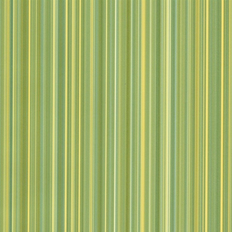 קשת תילתן 452