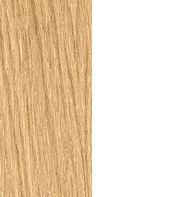 אלון רגליים לבן